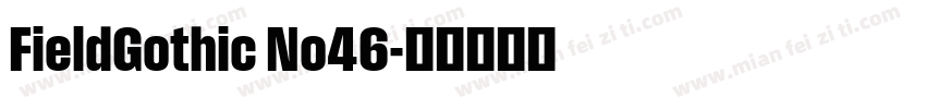 FieldGothic No46字体转换